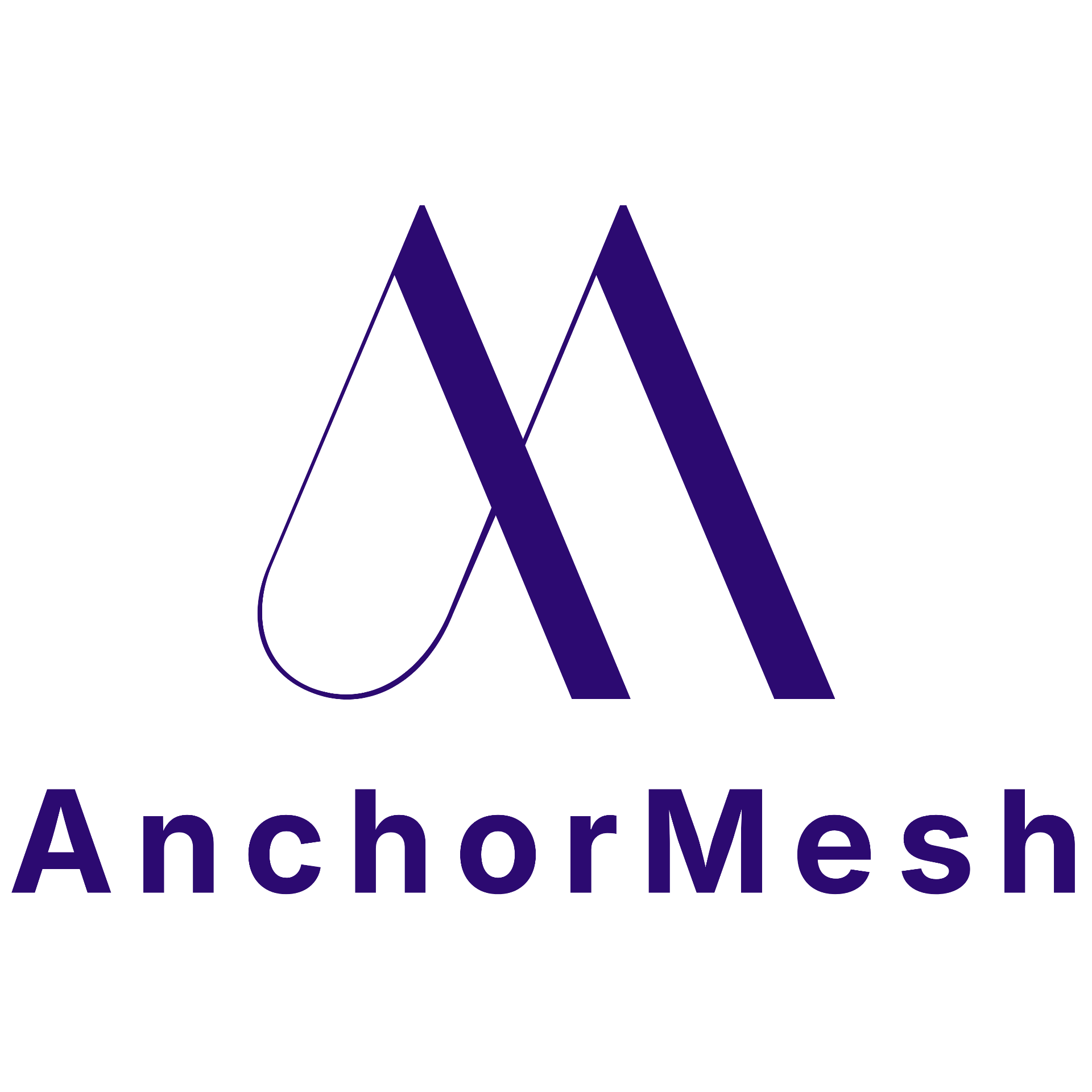 AnchorMesh
