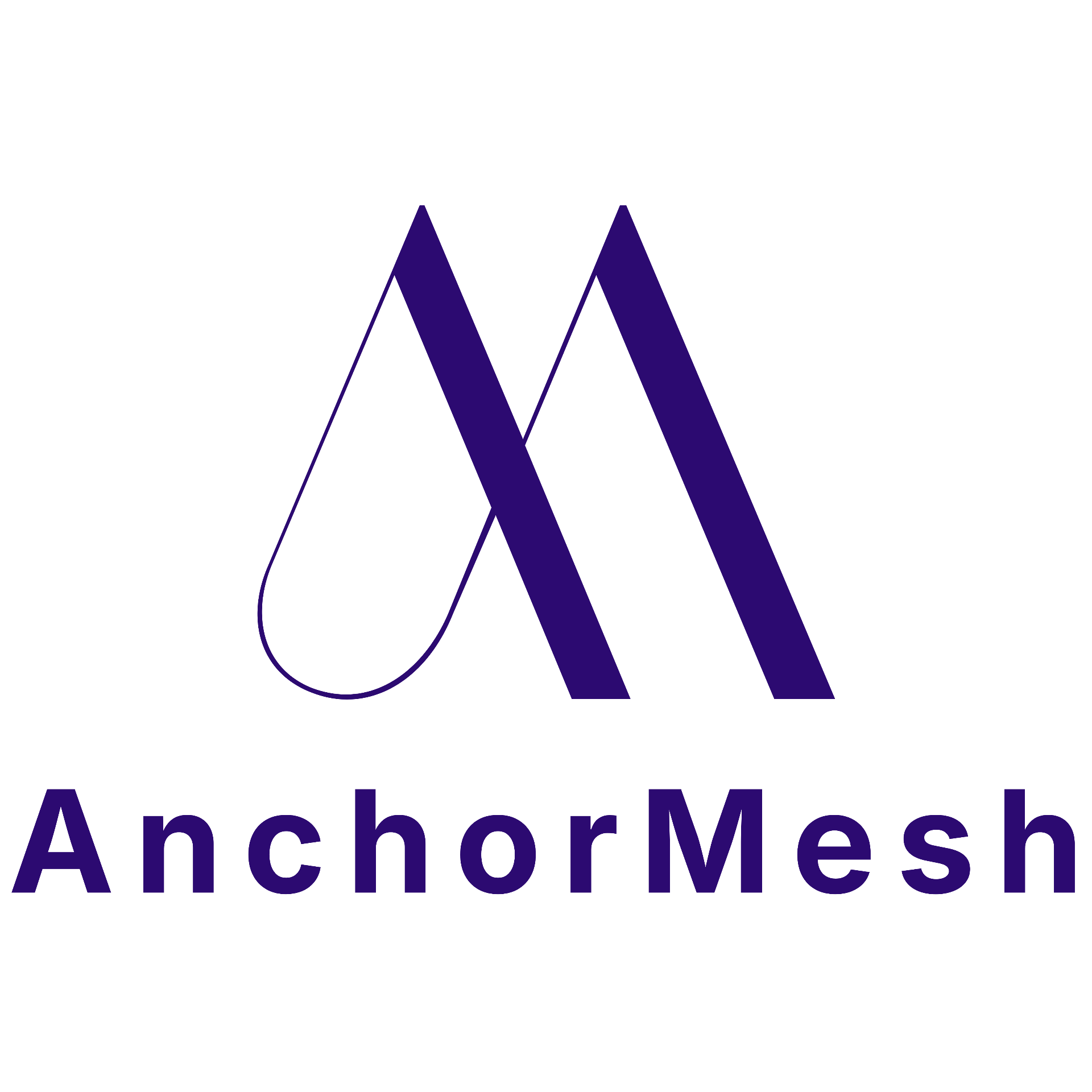AnchorMesh